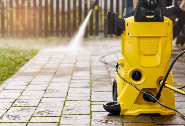 Animal Enclosure Cleaning in Kingstown, MD